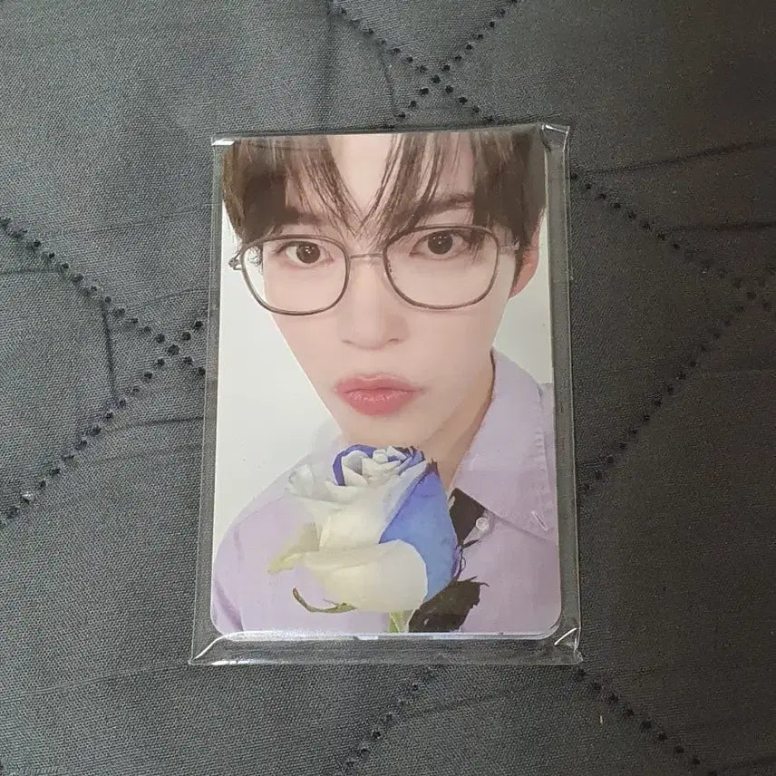 [BUNJANG] ZEROBASEONE ZEROSE 3rd Photocard Set / 제로베이스원 제로즈 3기 포토카드 세트