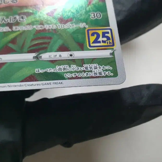 [SOLD OUT] 포켓몬카드 25주년 피카츄 일본판