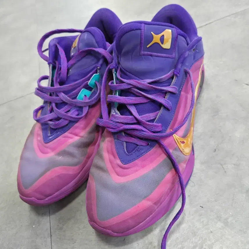 [BUNJANG] Nike A1 Unoficial Basketball Shoes / 나이키 에이원 유나폴로제틱 농구화 300