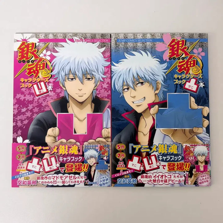 [BUNJANG] Gintama Animation Character Book Set (First Edition) / 일괄 ) 은혼 애니메이션 캐릭터북 초판 긴토키 타카스기 히지카타 만화책