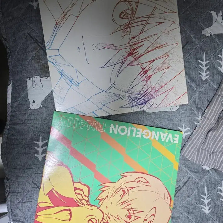 [BUNJANG] Evangelion LP 2-Disc Set / 에반게리온 lp 2종