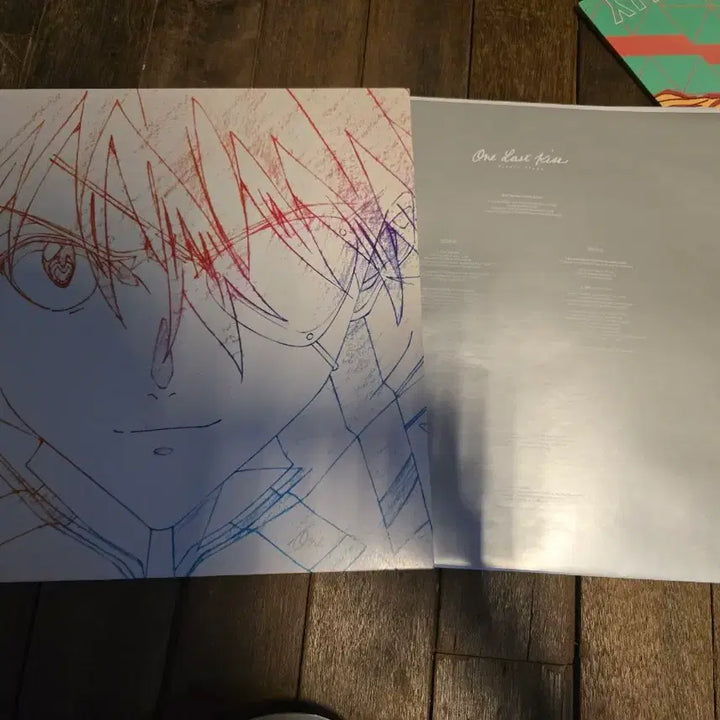 [BUNJANG] Evangelion LP 2-Disc Set / 에반게리온 lp 2종