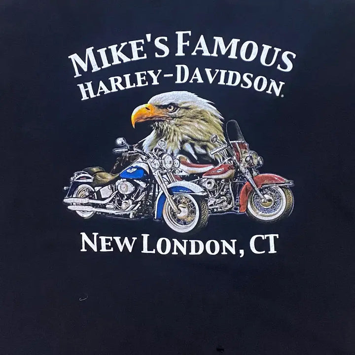 [BUNJANG] Harley Davidson Skull Logo Vintage T-shirt / 미국 빈티지 할리데이비슨 해골 스컬 로고 반팔티