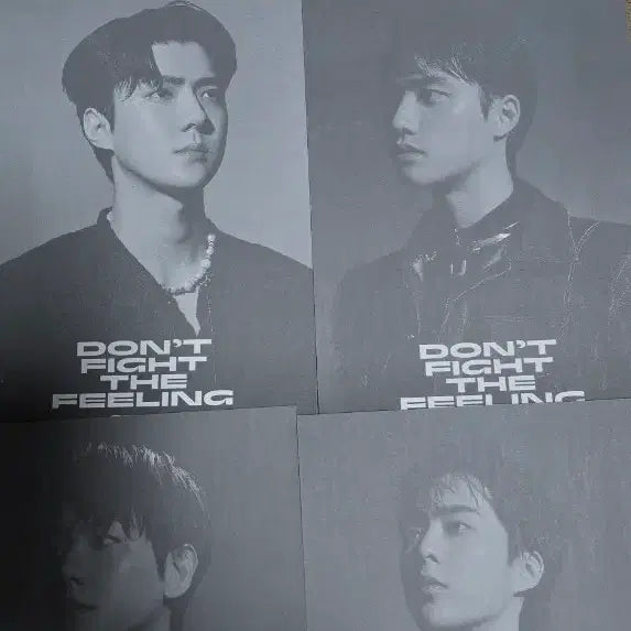[BUNJANG] EXO Don&