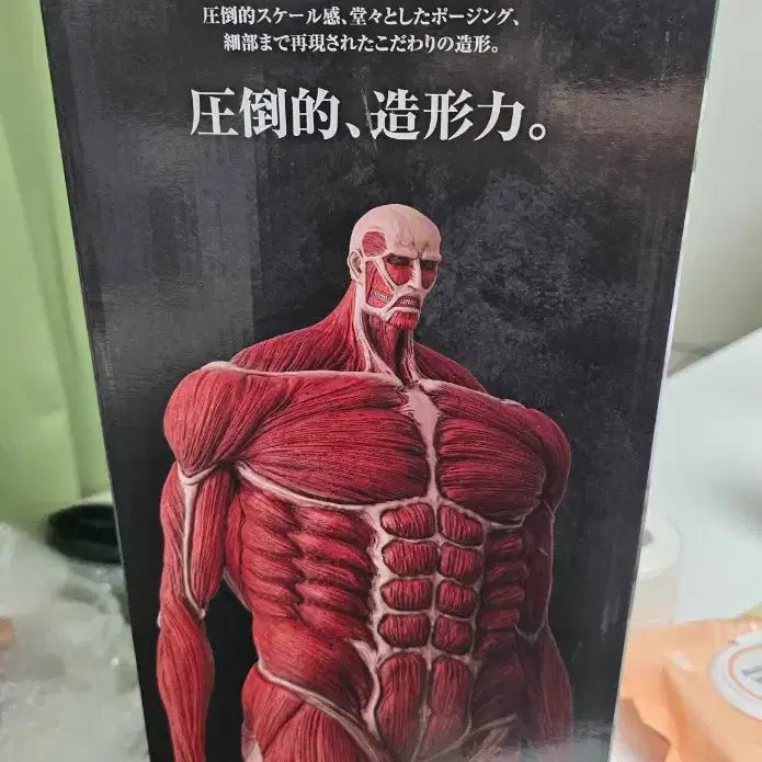 [SOLD OUT] 진격의 거인 초대형거인 라스트원 미개봉 칼박(이중테잎)
