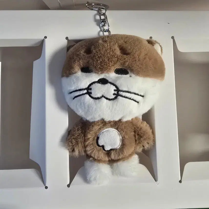 [BUNJANG] 쁘넥도 달링 보이넥스트도어 보넥도 인형 / 쁘넥도 달링 보이넥스트도어 보넥도 인형