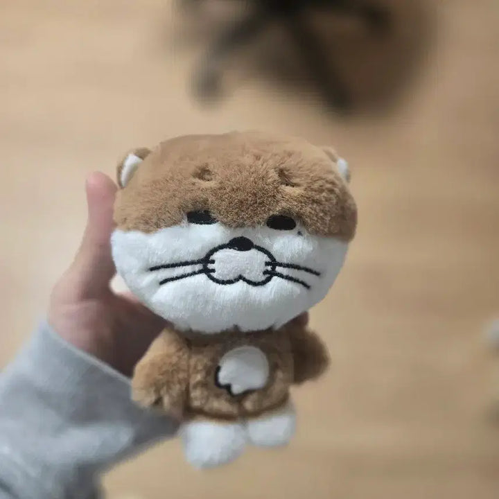 [BUNJANG] 쁘넥도 달링 보이넥스트도어 보넥도 인형 / 쁘넥도 달링 보이넥스트도어 보넥도 인형