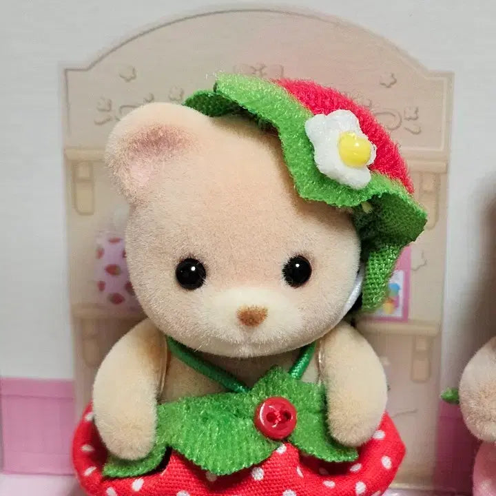 [SOLD OUT] 실바니안 모여라 딸기 아기 곰