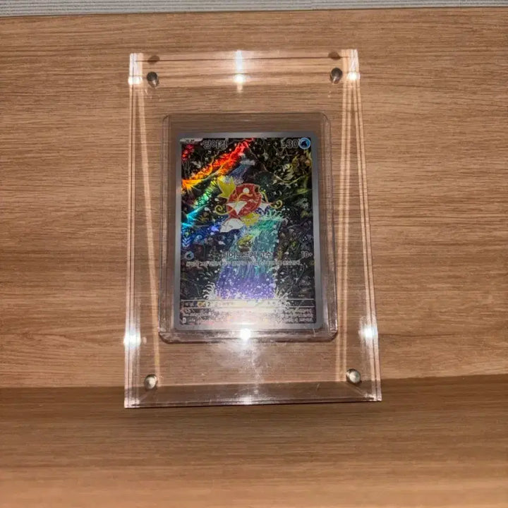 [SOLD OUT] 잉어킹 ar 신지칸다