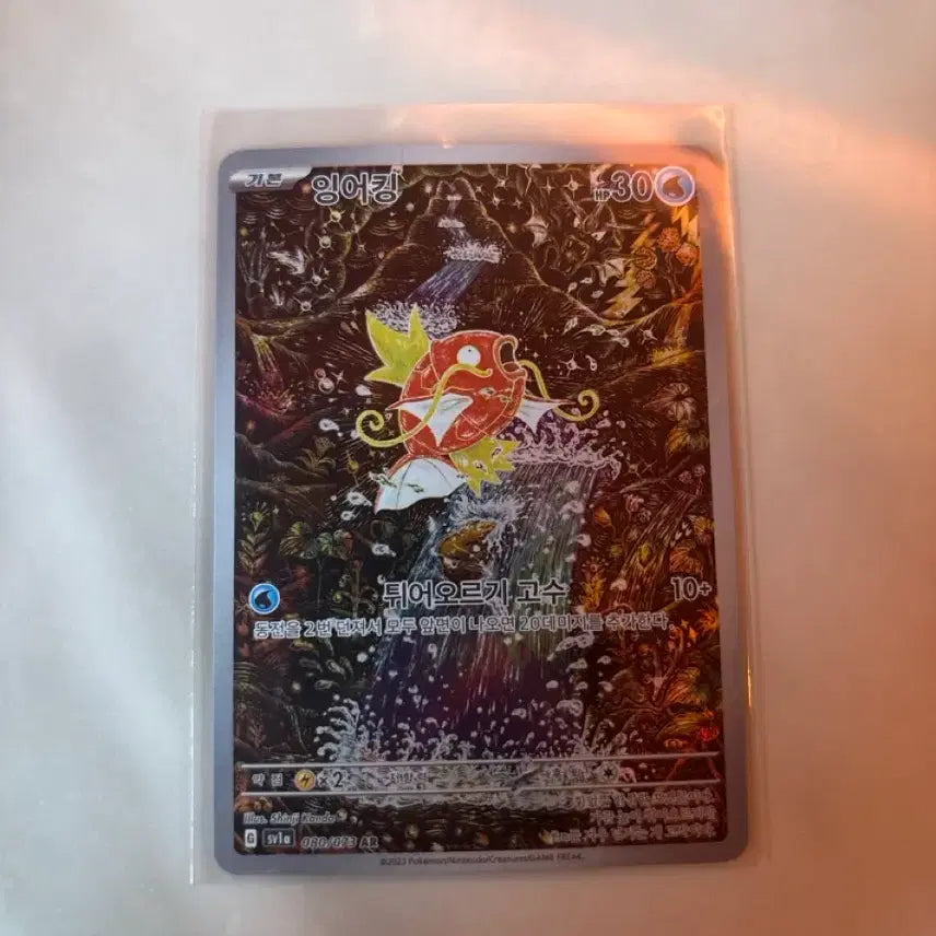 [SOLD OUT] 잉어킹 ar 신지칸다
