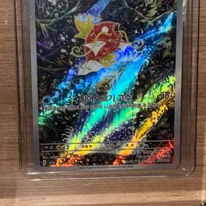 [SOLD OUT] 잉어킹 ar 신지칸다