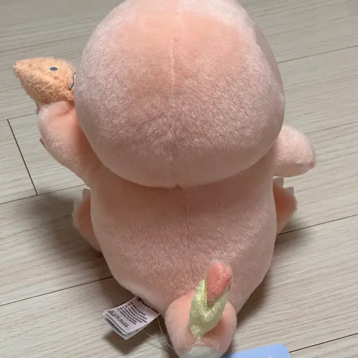 [SOLD OUT] 포켓몬 Little Daydream 리틀 데이드림 파이리 리자몽 인형