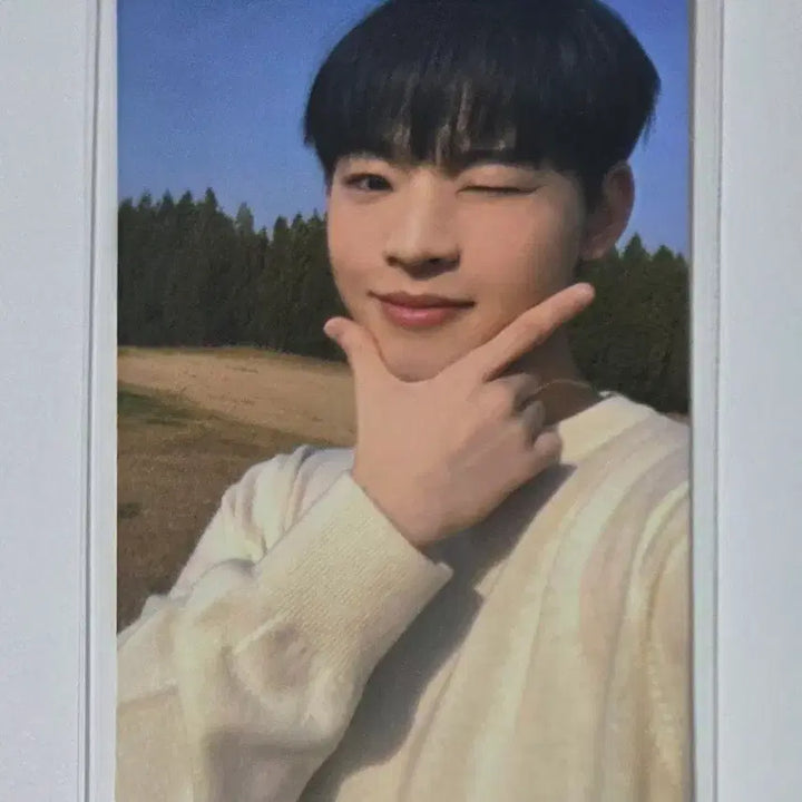 [BUNJANG] ONF Hyojin Wonderwall Collaboration Photocard / 원더월 콜라보 포카 / 온앤오프 효진