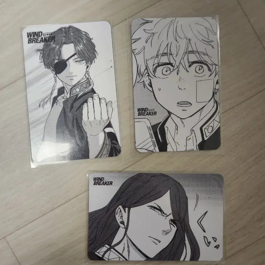 [BUNJANG] Wind Breaker Suo/Nirei/Sugishita Photocard / 윈브레 단행본만화 애니메이트특전 포토카드 스오니레이스기시타 윈드브레이커