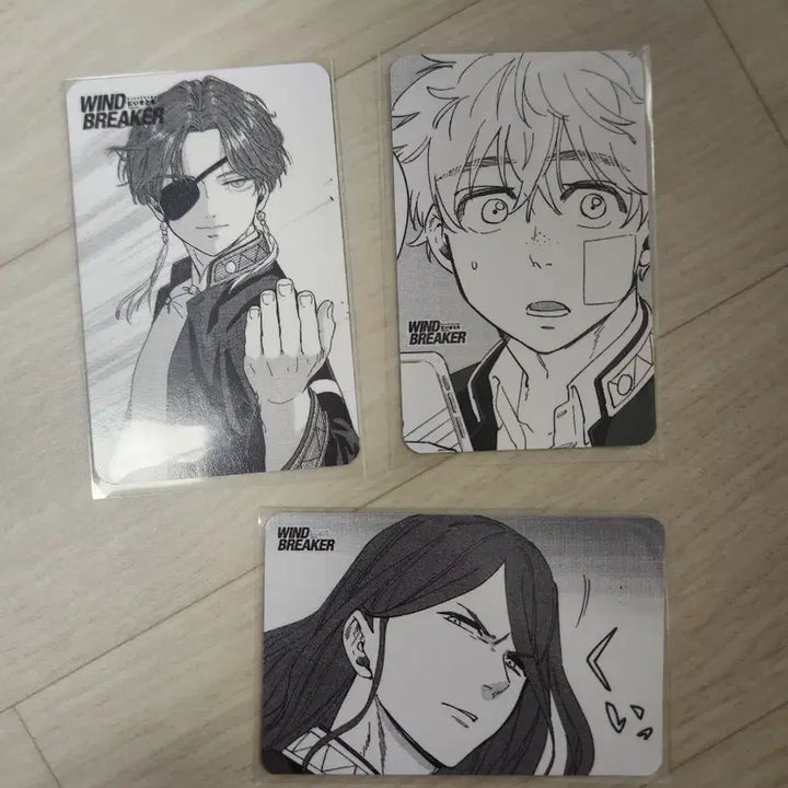 [BUNJANG] Wind Breaker Suo/Nirei/Sugishita Photocard / 윈브레 단행본만화 애니메이트특전 포토카드 스오니레이스기시타 윈드브레이커