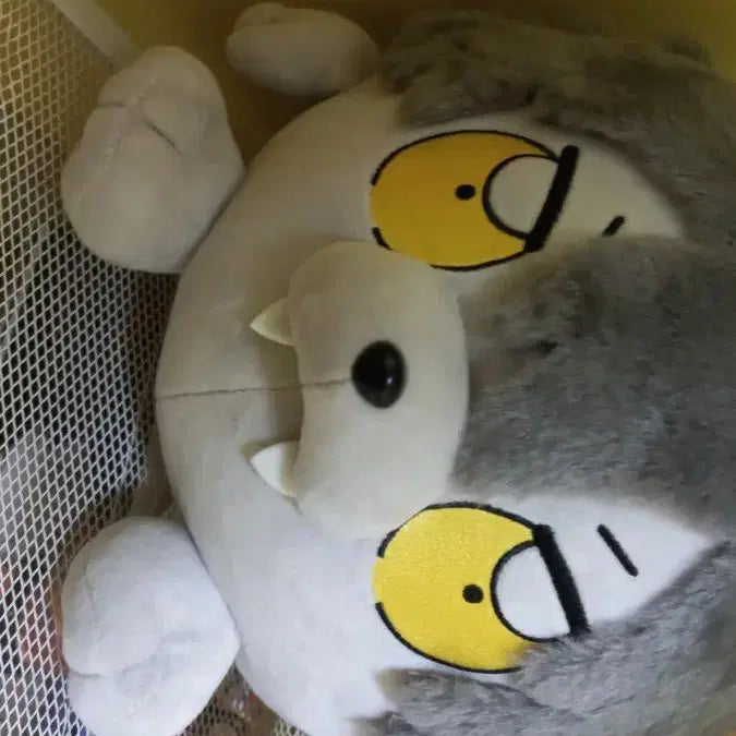 [SOLD OUT] 앙스타 코가 부쿠부 빅 인형(바로 구매 하셔도 됩니다)