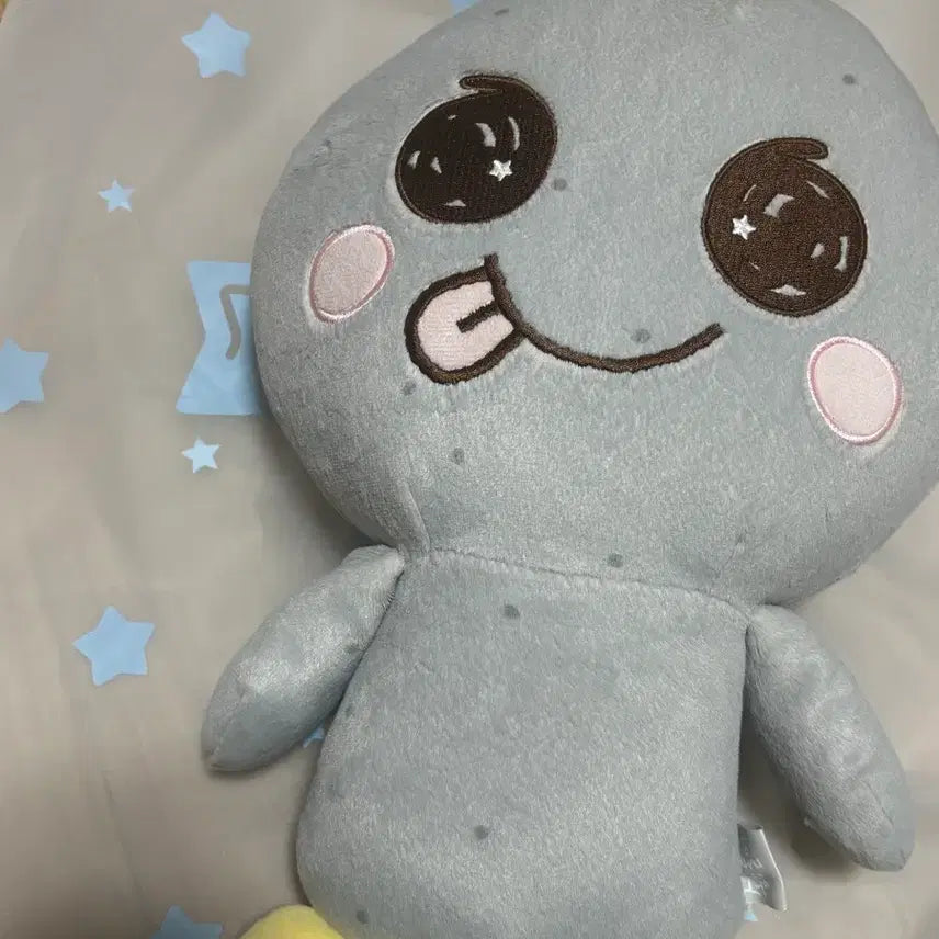 [SOLD OUT] 라이즈 은석 송용돌이 40cm