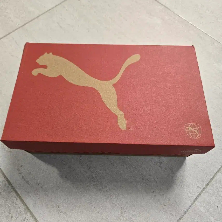 [BUNJANG] Puma Future 8 Pro MG Football Boots / 푸마 퓨처8 프로MG