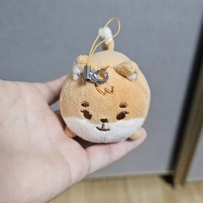 [SOLD OUT] 데이식스 데니멀즈 사족보행 케 영케이