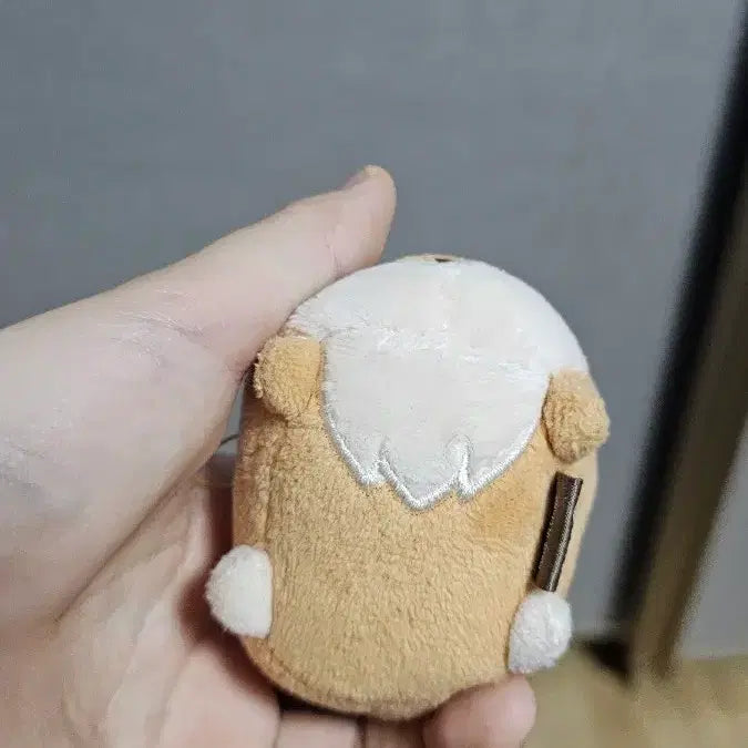 [SOLD OUT] 데이식스 데니멀즈 사족보행 케 영케이