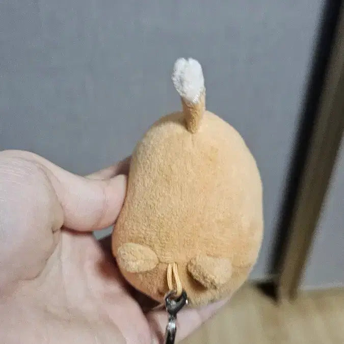 [SOLD OUT] 데이식스 데니멀즈 사족보행 케 영케이