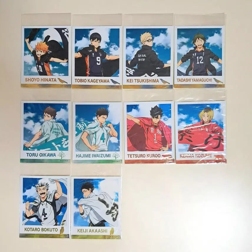 [BUNJANG] Haikyuu!! Metal Banner Sticker A Set / 하이큐!! 현수막 메탈 스티커 A 전종