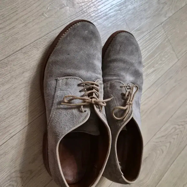 [BUNJANG] Alden 5383 Suede Derby Shoes / 알든 5383 스웨이드 더비 7.5