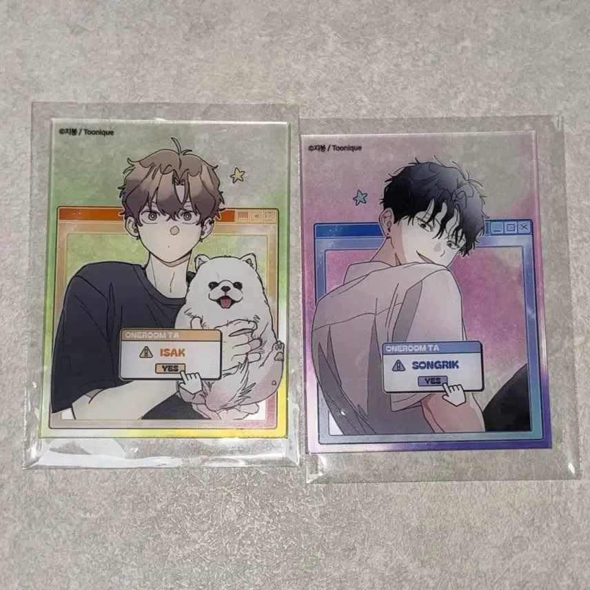 [BUNJANG] One Room Teacher Original Acrylic Card Bundle Set / 일괄) 원룸조교님 원조교 아크릴 카드 이송릭 배이삭