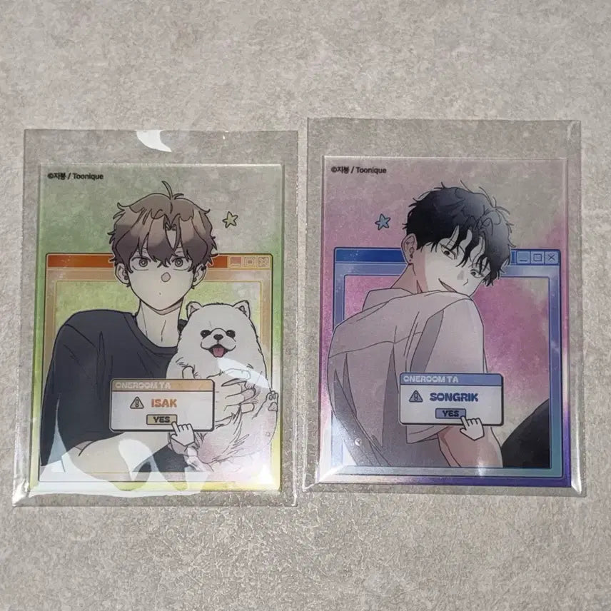 [BUNJANG] One Room Teacher Original Acrylic Card Bundle Set / 일괄) 원룸조교님 원조교 아크릴 카드 이송릭 배이삭