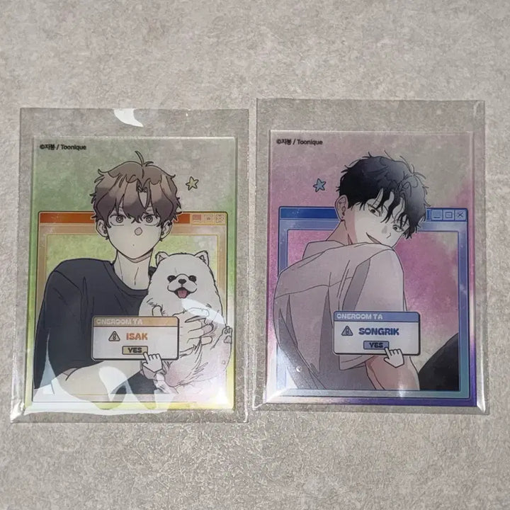 [BUNJANG] One Room Teacher Original Acrylic Card Bundle Set / 일괄) 원룸조교님 원조교 아크릴 카드 이송릭 배이삭