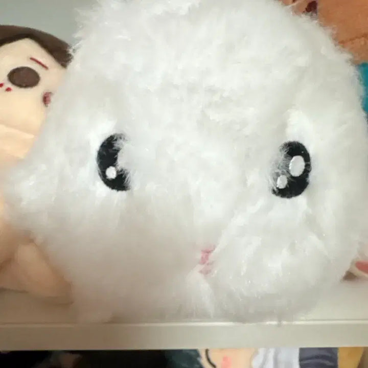 [BUNJANG] NCT WISH Sakuya Item / 기니꾸 엔시티 위시 사쿠야