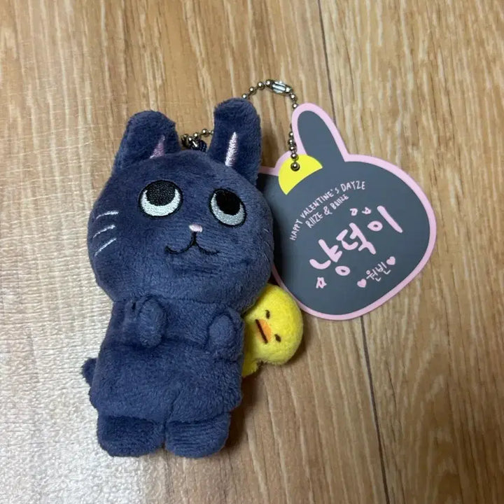 [BUNJANG] RIIZE Wonbin Tonyangduck 10cm Doll / 라이즈 원빈 동글동글 이쁜 토냥덕 10cm 팝니다