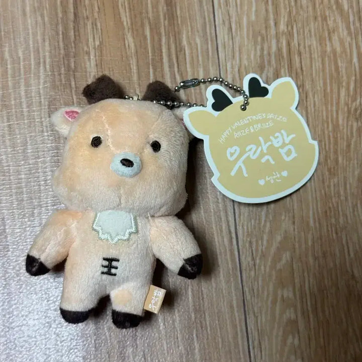 [BUNJANG] RIIZE Sungchan Urakbam Photocard / 라이즈 성찬 우락밤 10cm 팝니다