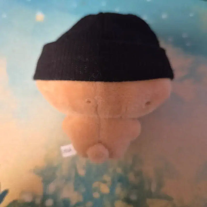[BUNJANG] BOYNEXTDOOR Woonhak Plush / 보이넥스트도어 / 운감자