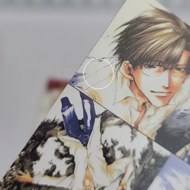 [BUNJANG] Saiyuki Illustration Card Set (2 Cards) / 최유기 일러스트 카드 2장 세트
