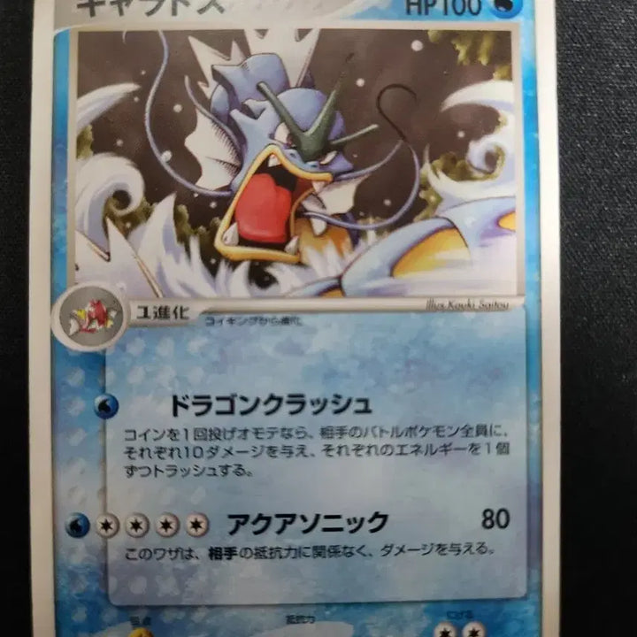 [BUNJANG] Pokemon Gyarados Card / 2003년 포켓몬 카드 갸라도스 (Gyarados)
