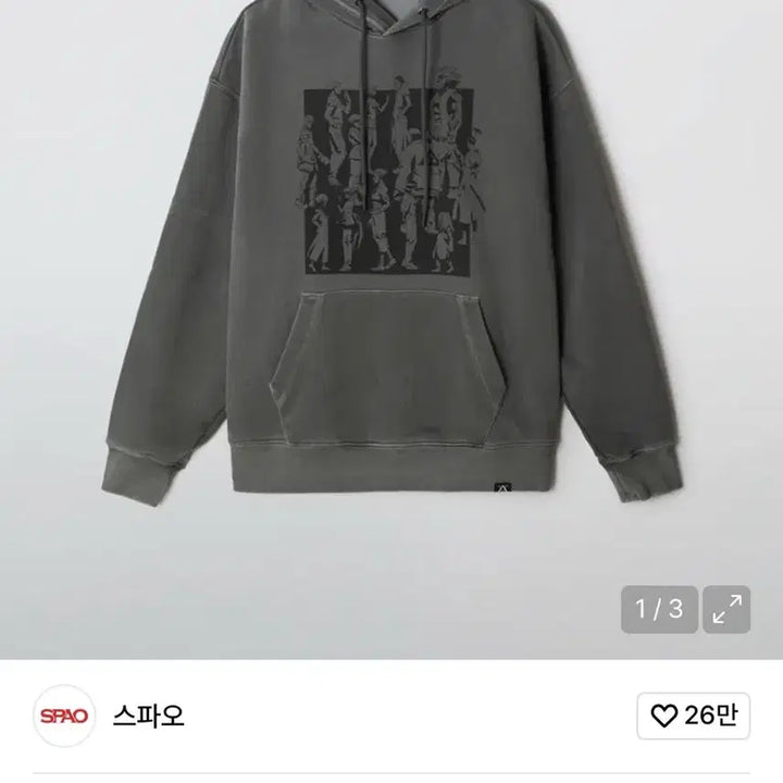 [BUNJANG] Hunter x Hunter SPAO Phantom Troupe Hoodie (S) / 헌터헌터 스파오 환영여단 후드티 S사이즈