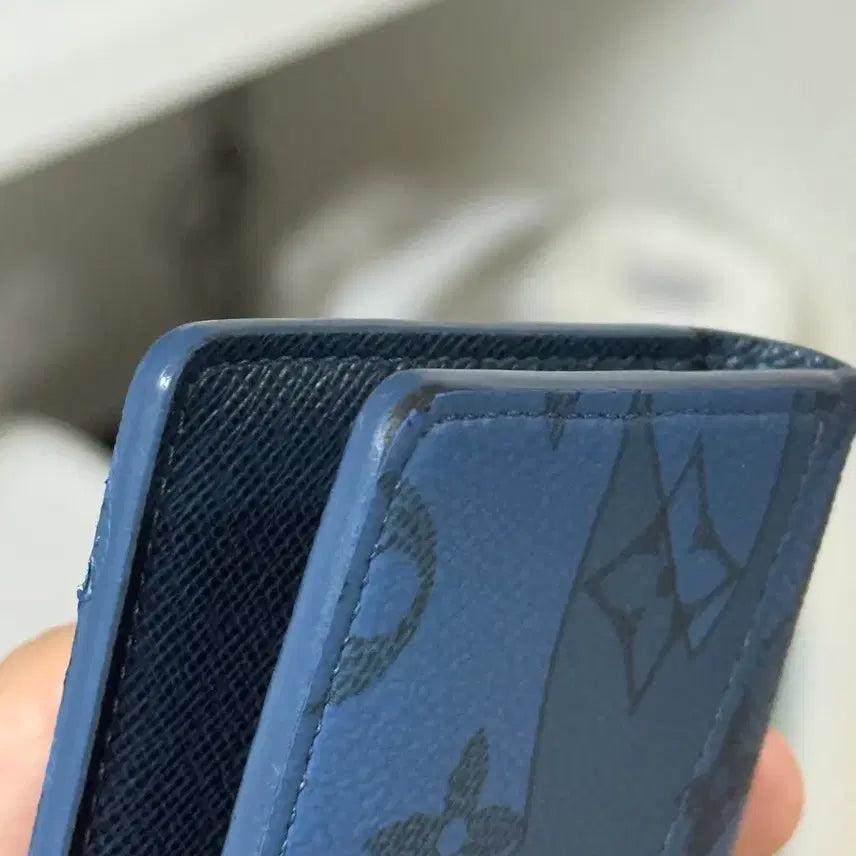 [BUNJANG] Louis Vuitton Aquagarden Organizer Wallet / 루이비통 아쿠아가든 오거나이저 지갑