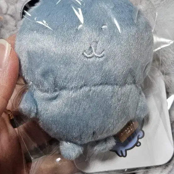 [BUNJANG] Nongdamgom Korea Limited Edition Vanilla, Blue Gray, Cool Gray Bundle Set / 농담곰 한국한정 성수 바닐라 블루그레이 쿨그레이 일괄