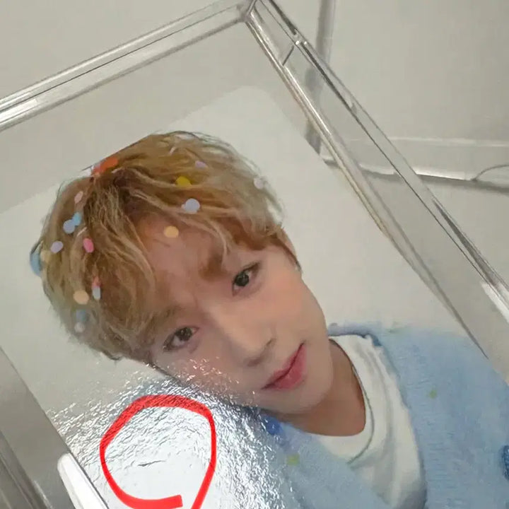 [BUNJANG] Park Jihoon Birthday Boy Milk Glass Photocard / 급처)박지훈 2025 생일 카페 birthday boy 밀크글라스 포카