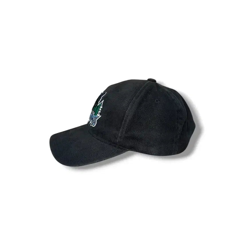 [BUNJANG] Reebok Minnesota Timberwolves Ball Cap / 리복 미네소타 팀버울브스 볼캡