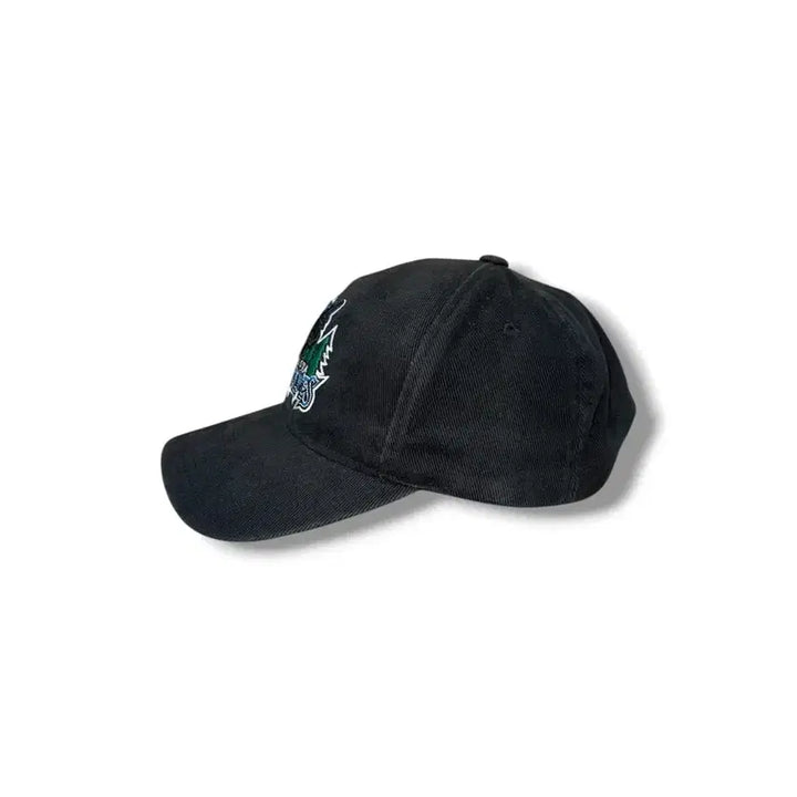 [BUNJANG] Reebok Minnesota Timberwolves Ball Cap / 리복 미네소타 팀버울브스 볼캡