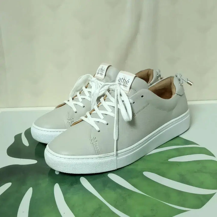 [SOLD OUT] 245) 아떼 바네사부르노 이에르 가죽스니커즈