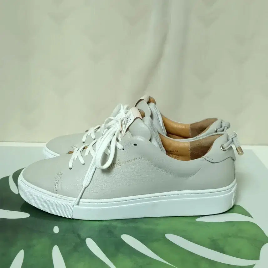 [SOLD OUT] 245) 아떼 바네사부르노 이에르 가죽스니커즈