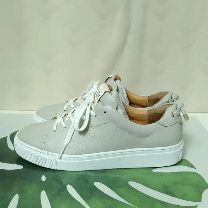 [SOLD OUT] 245) 아떼 바네사부르노 이에르 가죽스니커즈