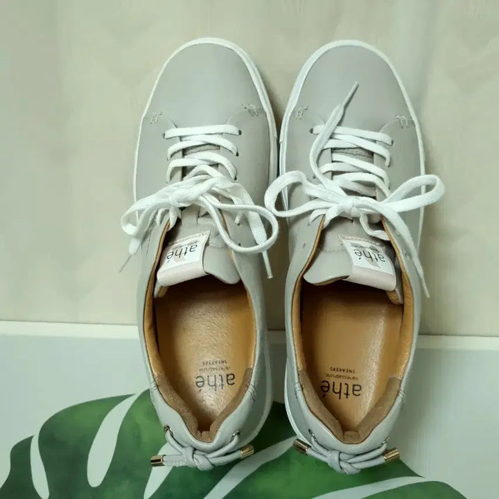 [SOLD OUT] 245) 아떼 바네사부르노 이에르 가죽스니커즈