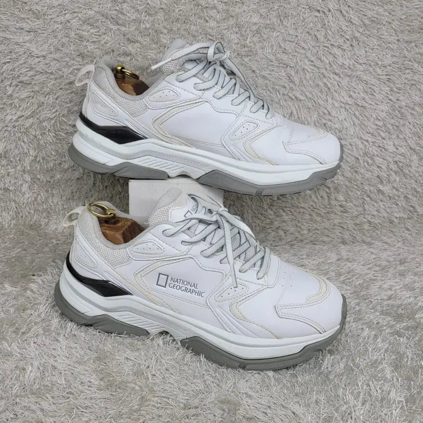 [BUNJANG] National Geographic Sneakers (Used) / 구제짱짱맨 260 내셔널지오그래픽 스니커즈
