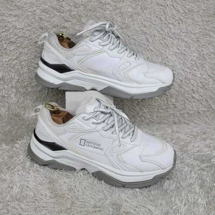 [BUNJANG] National Geographic Sneakers (Used) / 구제짱짱맨 260 내셔널지오그래픽 스니커즈