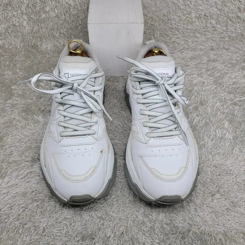 [BUNJANG] National Geographic Sneakers (Used) / 구제짱짱맨 260 내셔널지오그래픽 스니커즈