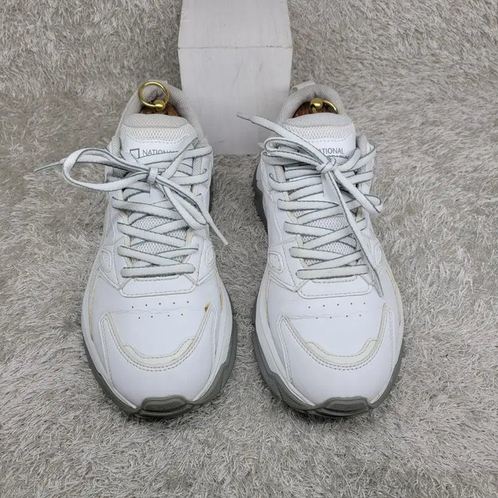 [BUNJANG] National Geographic Sneakers (Used) / 구제짱짱맨 260 내셔널지오그래픽 스니커즈